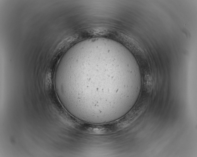 X0000111780506200908061118