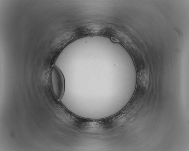 X0000111780509200908061118