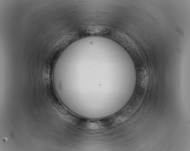 X0000111780510200908061118
