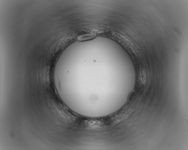 X0000111780512200908061118