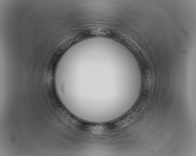 X0000111780513200908061118