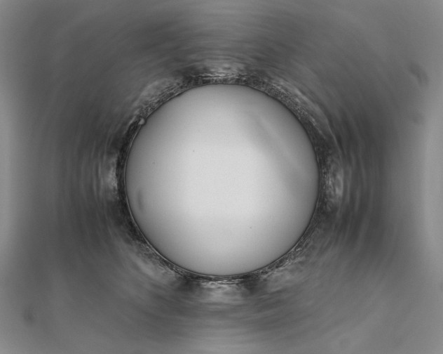 X0000111780516200908061118