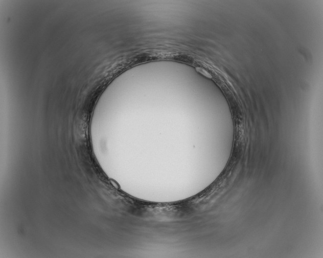 X0000111780517200908061118