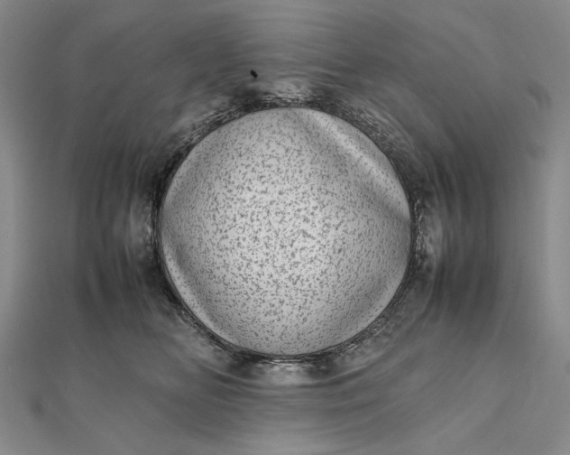 X0000111780518200908061118