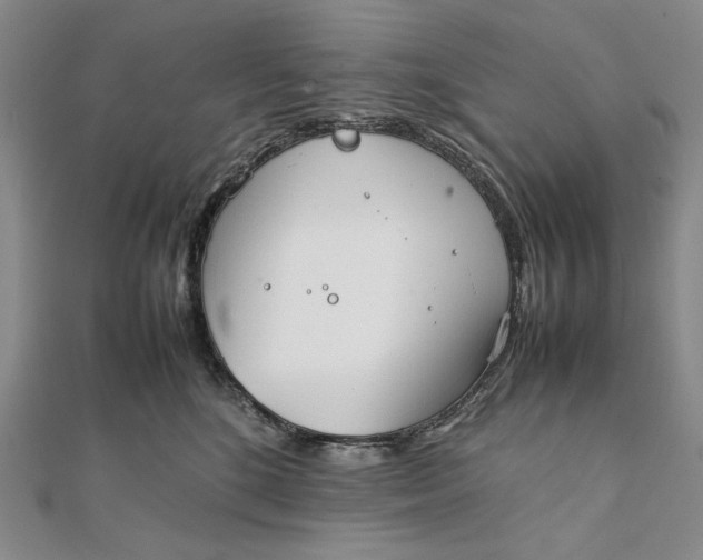 X0000111780520200908061118