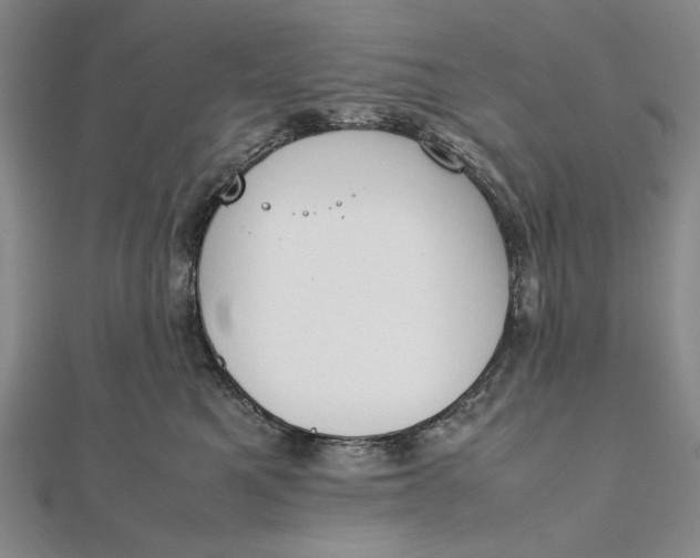X0000111780521200908061118