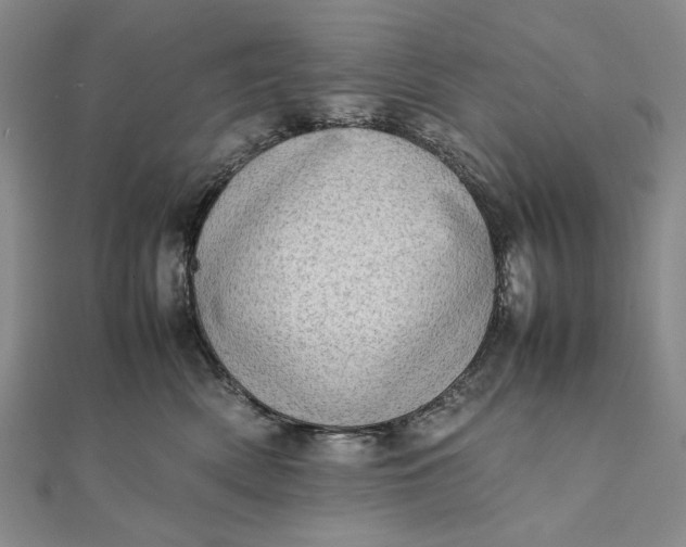 X0000111780522200908061118