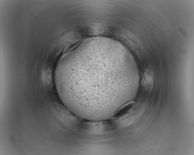 X0000111780524200908061118