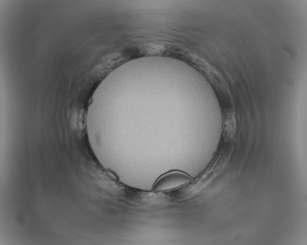 X0000111780525200908061118