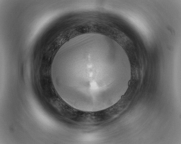 X0000111780526200908061118