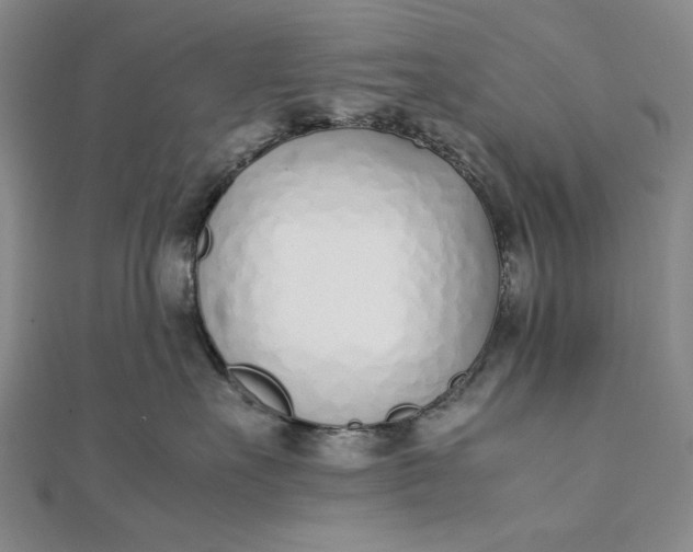 X0000111780527200908061117