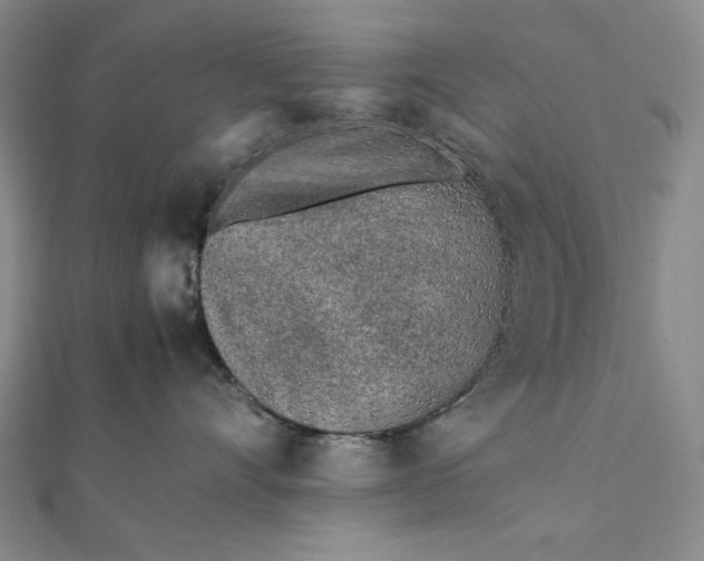 X0000111780528200908061117