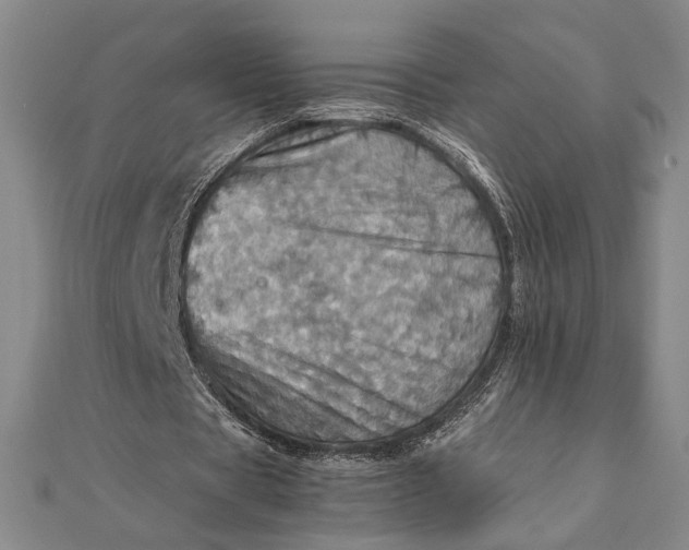 X0000111780529200908061117