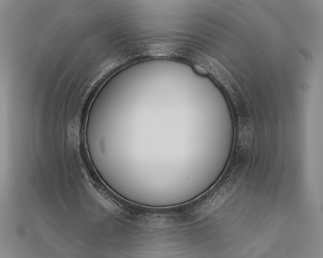 X0000111780530200908061117
