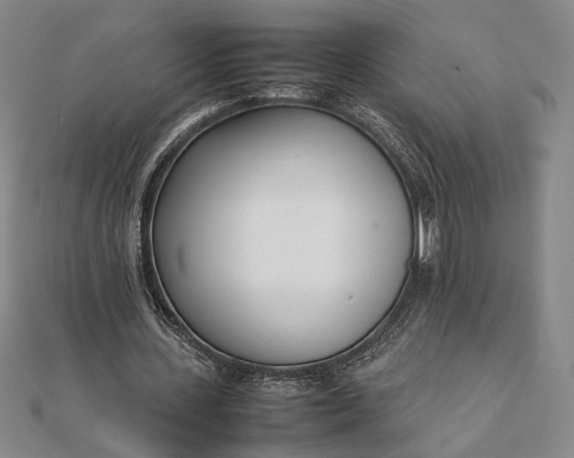 X0000111780531200908061117