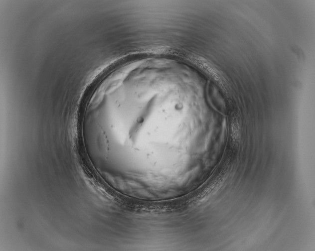 X0000111780532200908061117