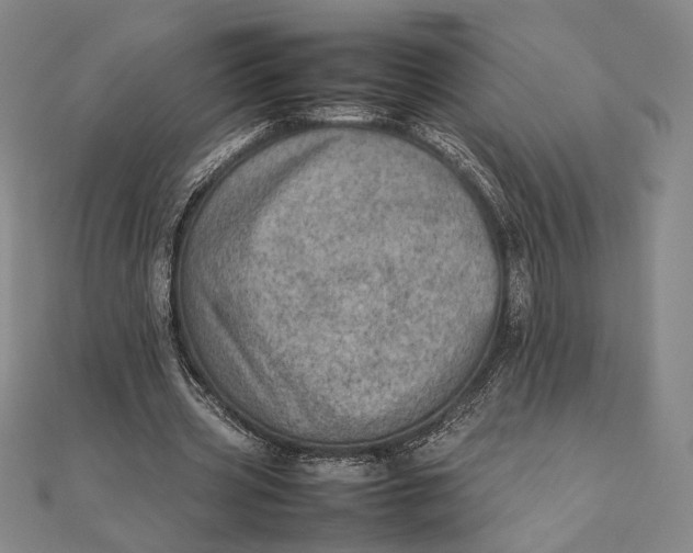 X0000111780533200908061117