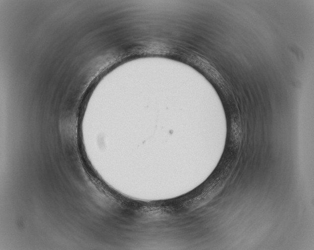 X0000111780534200908061117