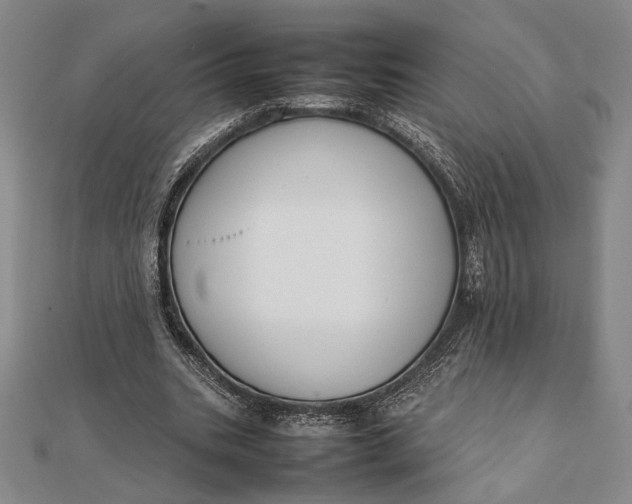 X0000111780535200908061117
