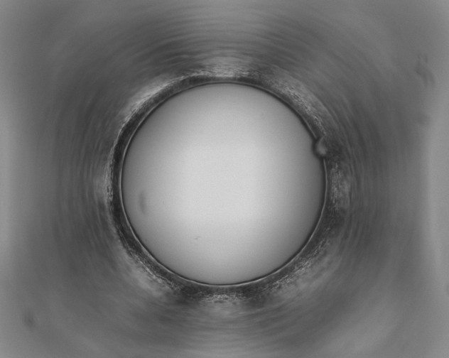 X0000111780536200908061117
