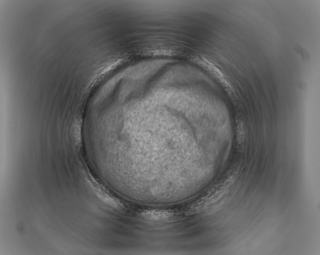 X0000111780537200908061117