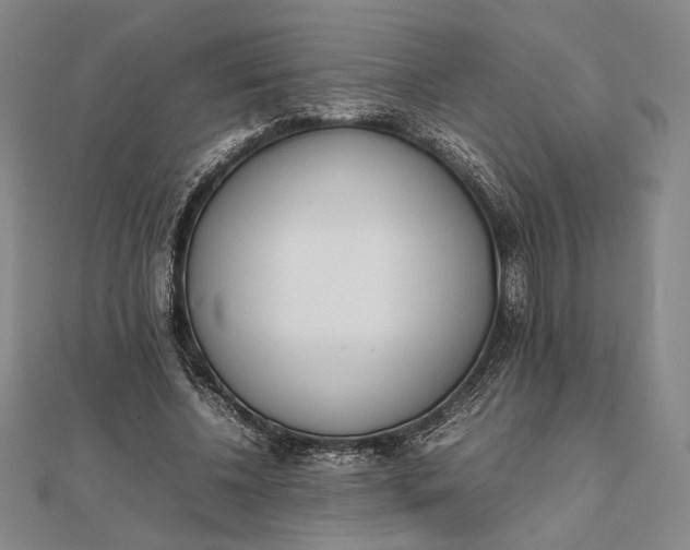 X0000111780540200908061117