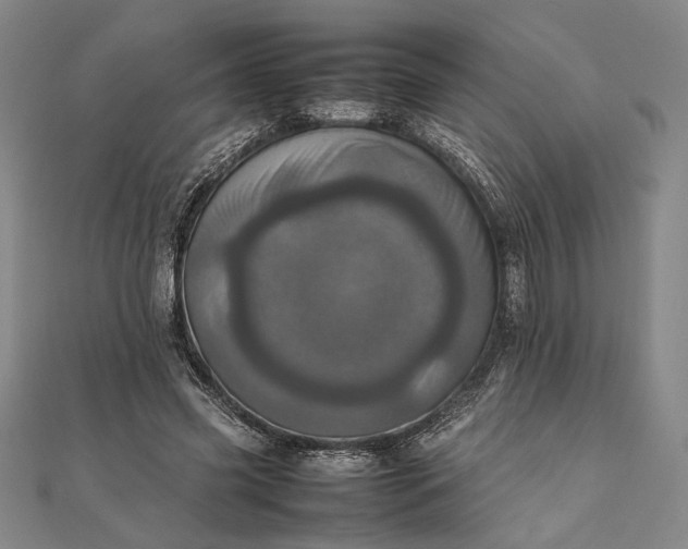 X0000111780541200908061117
