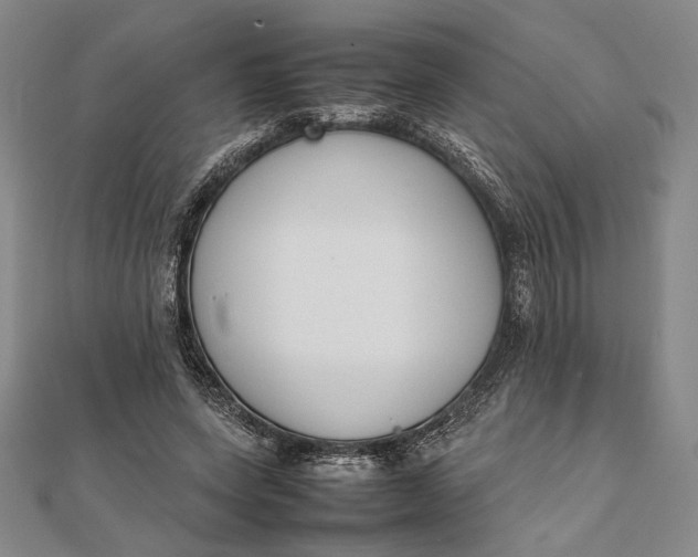 X0000111780543200908061117