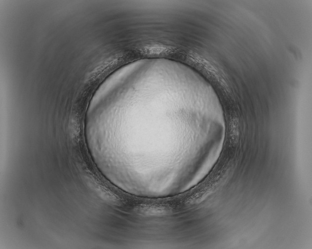 X0000111780545200908061117