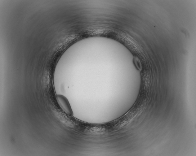 X0000111780546200908061117