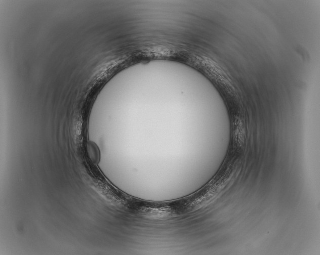 X0000111780548200908061117