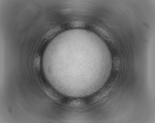 X0000111780550200908061117
