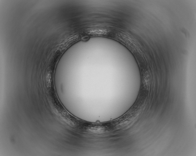 X0000111780551200908061117
