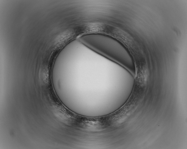 X0000111780552200908061117