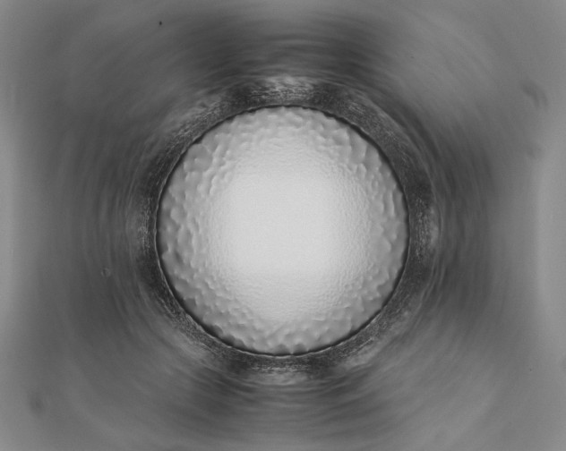 X0000111780553200908061117