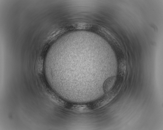 X0000111780554200908061117