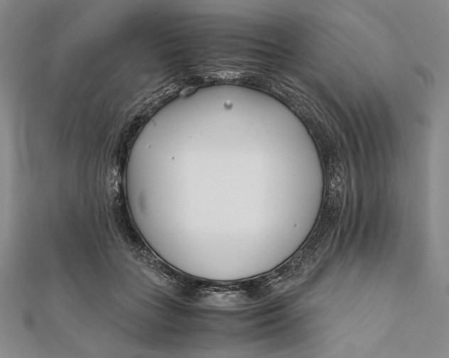 X0000111780555200908061117