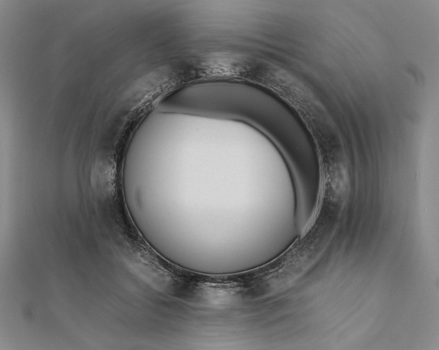 X0000111780556200908061117