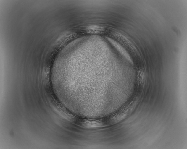 X0000111780557200908061117