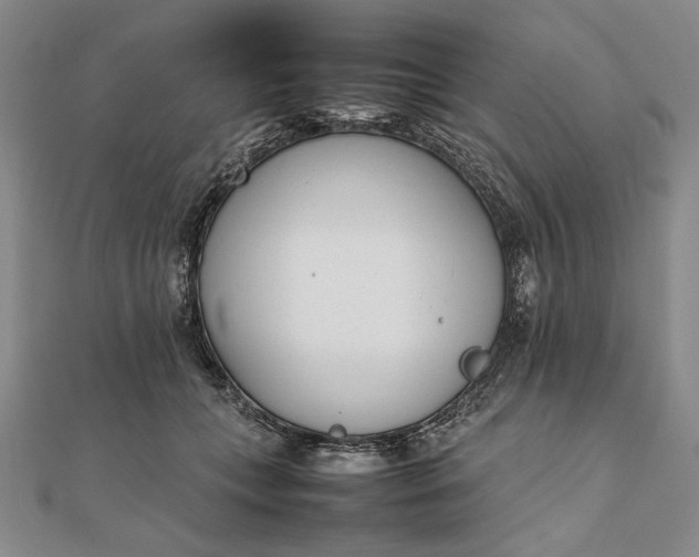 X0000111780559200908061117