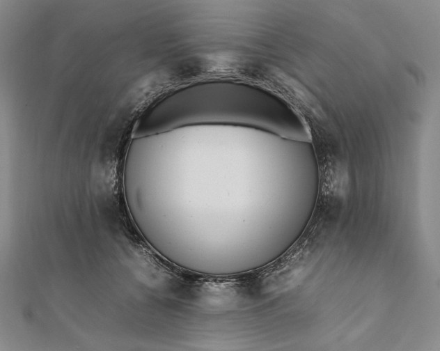 X0000111780560200908061117