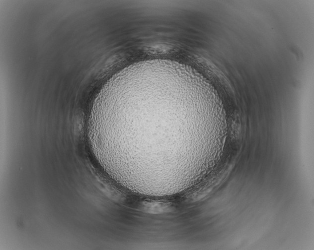 X0000111780561200908061117