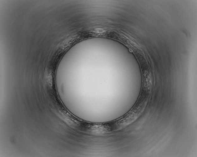 X0000111780562200908061117