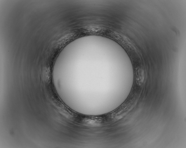 X0000111780563200908061117