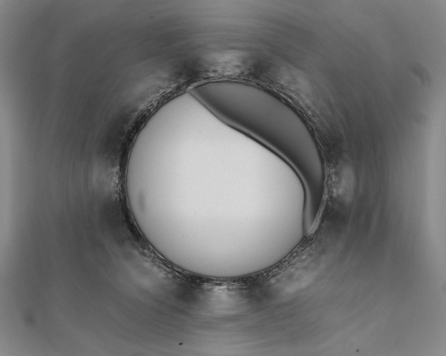 X0000111780564200908061117