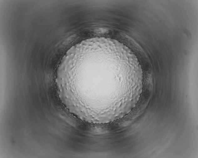 X0000111780565200908061117