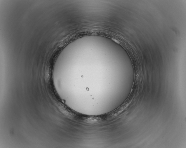 X0000111780566200908061117