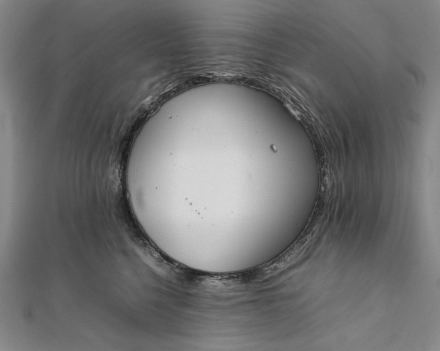 X0000111780568200908061117