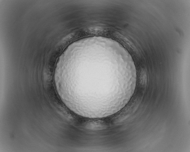 X0000111780569200908061117