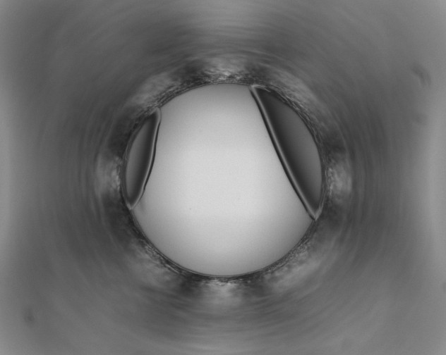 X0000111780570200908061117